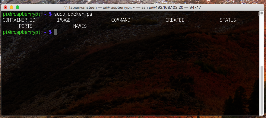 sudo docker ps output