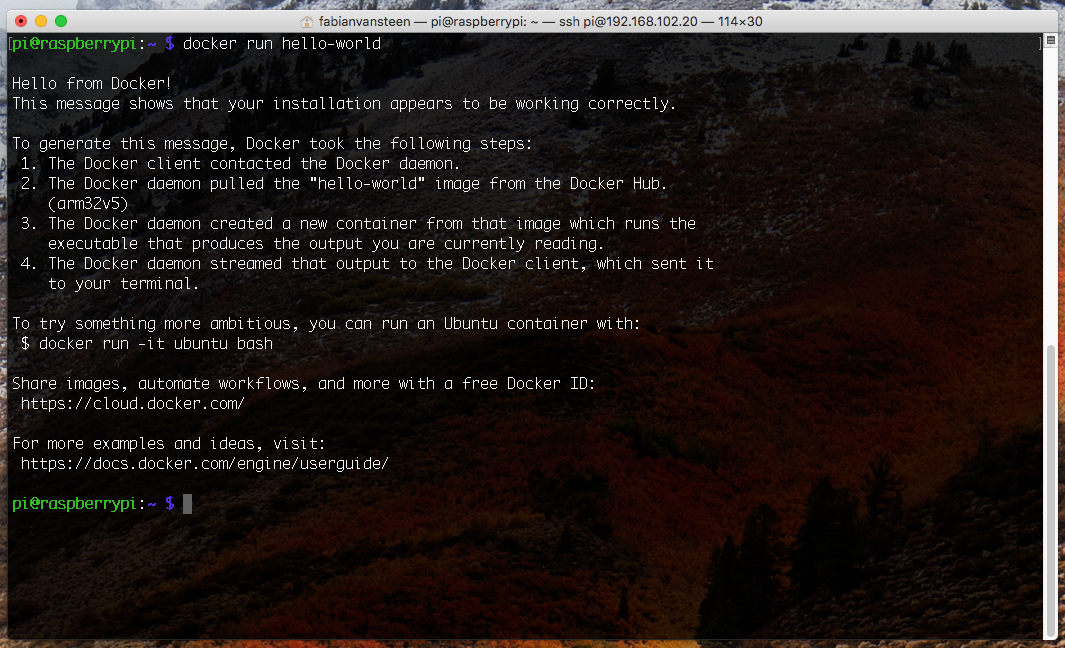 docker run hello-world output